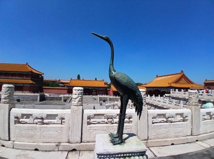 Crane